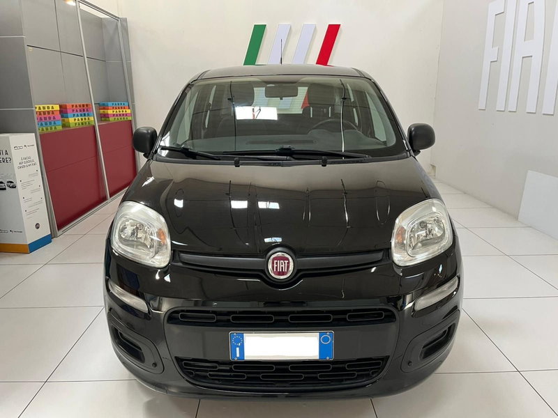 Fiat Panda usata a Lucca (2)