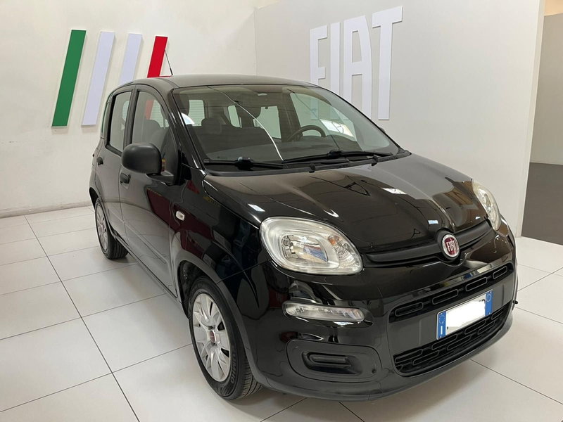 Fiat Panda usata a Lucca (3)