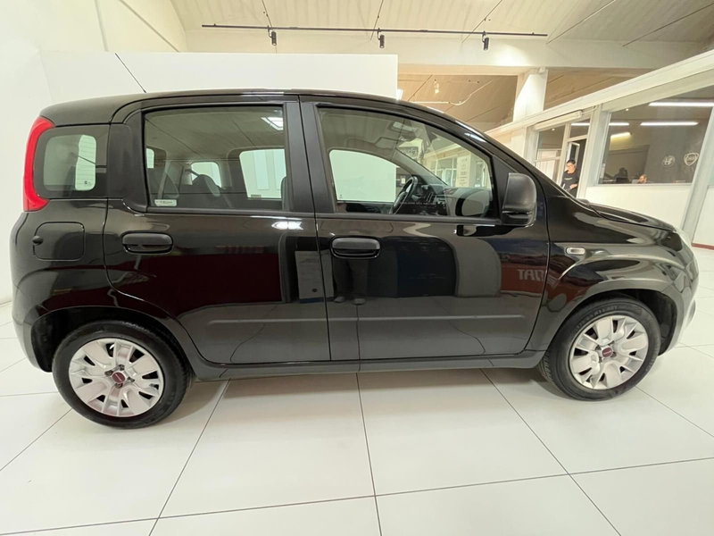 Fiat Panda usata a Lucca (4)