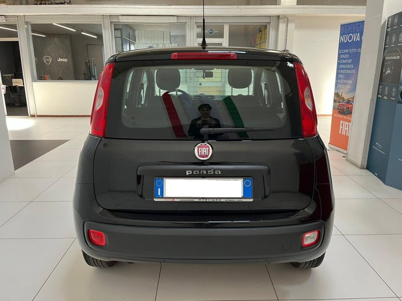 Fiat Panda usata a Lucca (6)