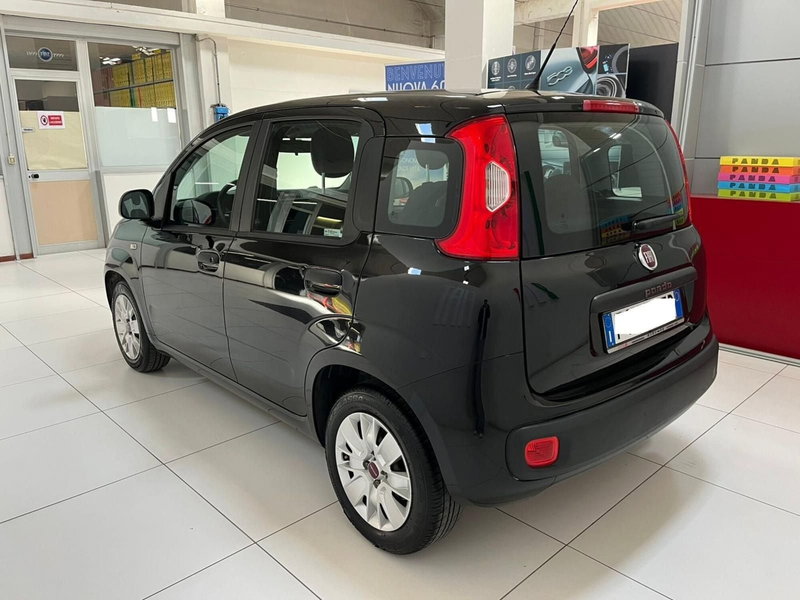Fiat Panda usata a Lucca (7)