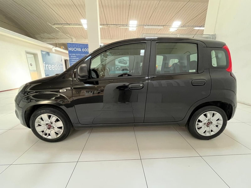 Fiat Panda usata a Lucca (8)