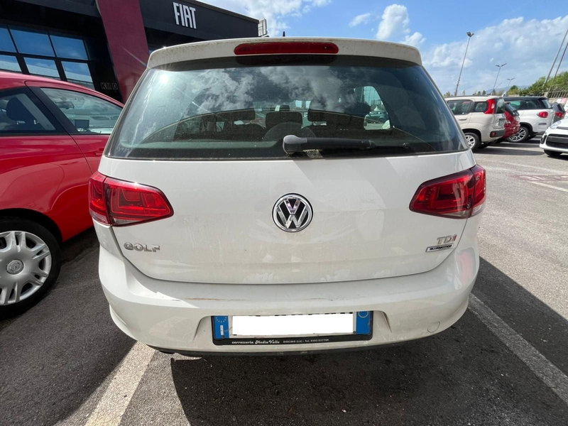Volkswagen Golf Variant usata a Lucca (6)