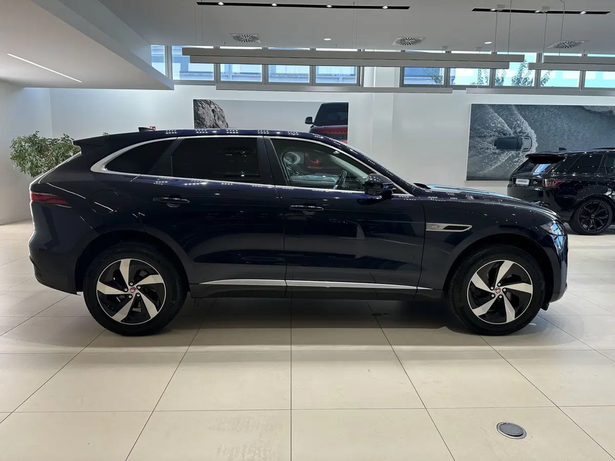 Jaguar F-Pace usata a Forlì-Cesena (6)