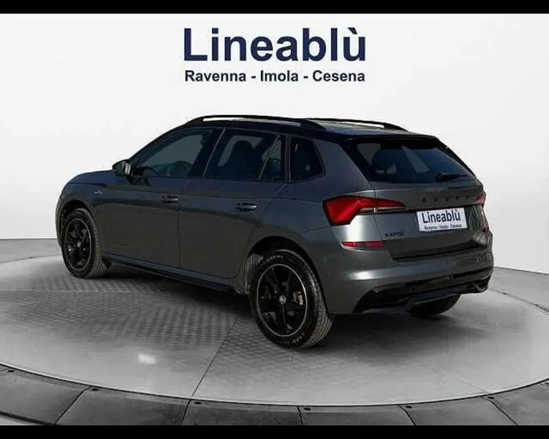 Skoda Kamiq usata a Ravenna (3)