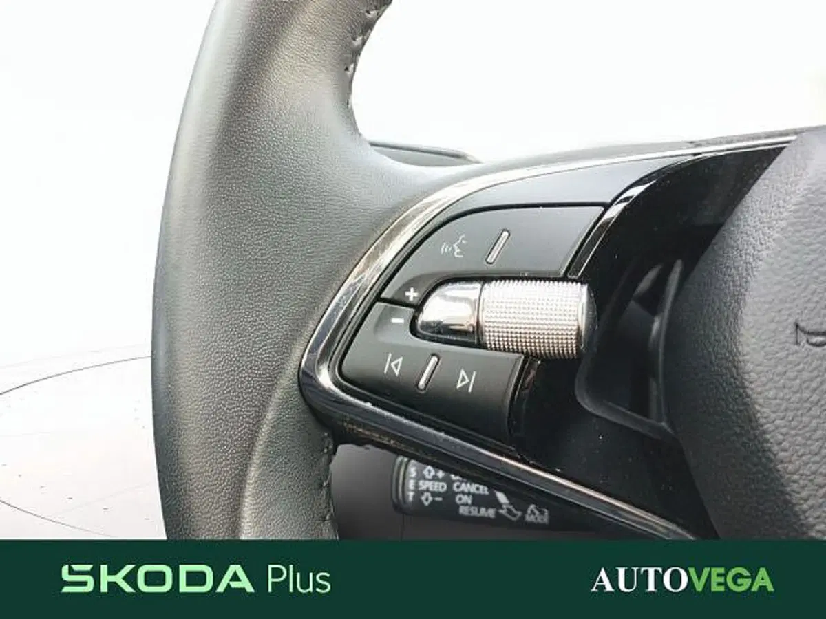 Skoda Kamiq usata a Vicenza (16)