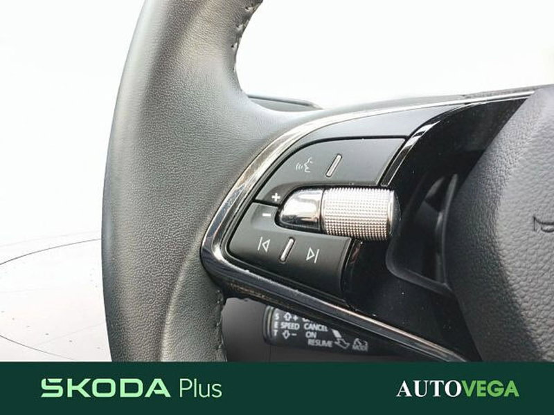 Skoda Kamiq usata a Vicenza (16)