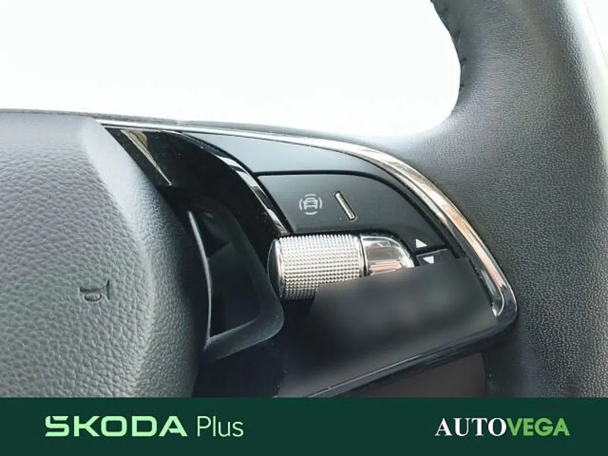 Skoda Kamiq usata a Vicenza (17)