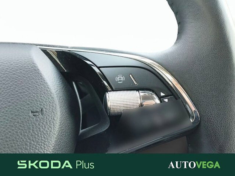 Skoda Kamiq usata a Vicenza (17)