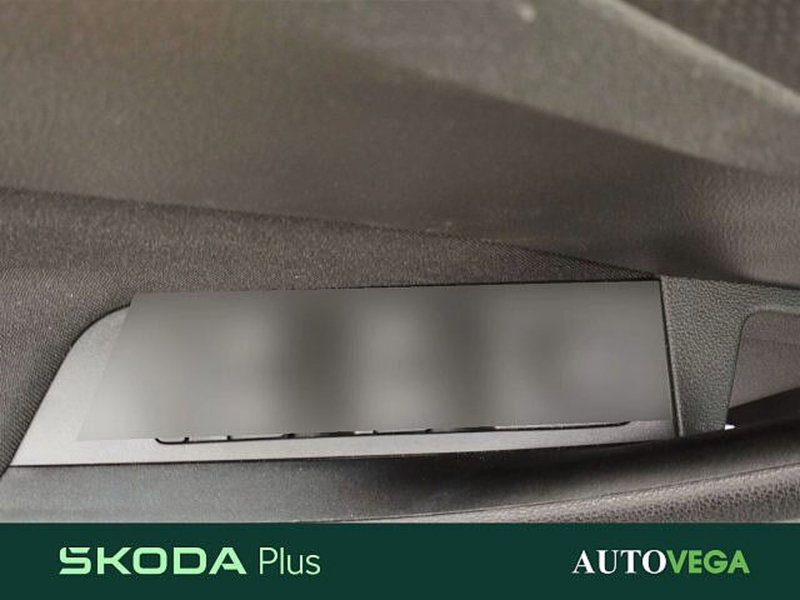Skoda Kamiq usata a Vicenza (19)