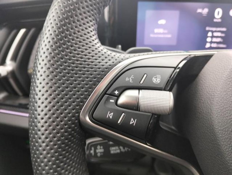 Skoda Kodiaq usata a Como (11)