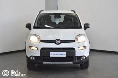 Fiat Panda 0.9 TwinAir Turbo S&amp;S 4x4 Wild del 2022 usata a Foligno