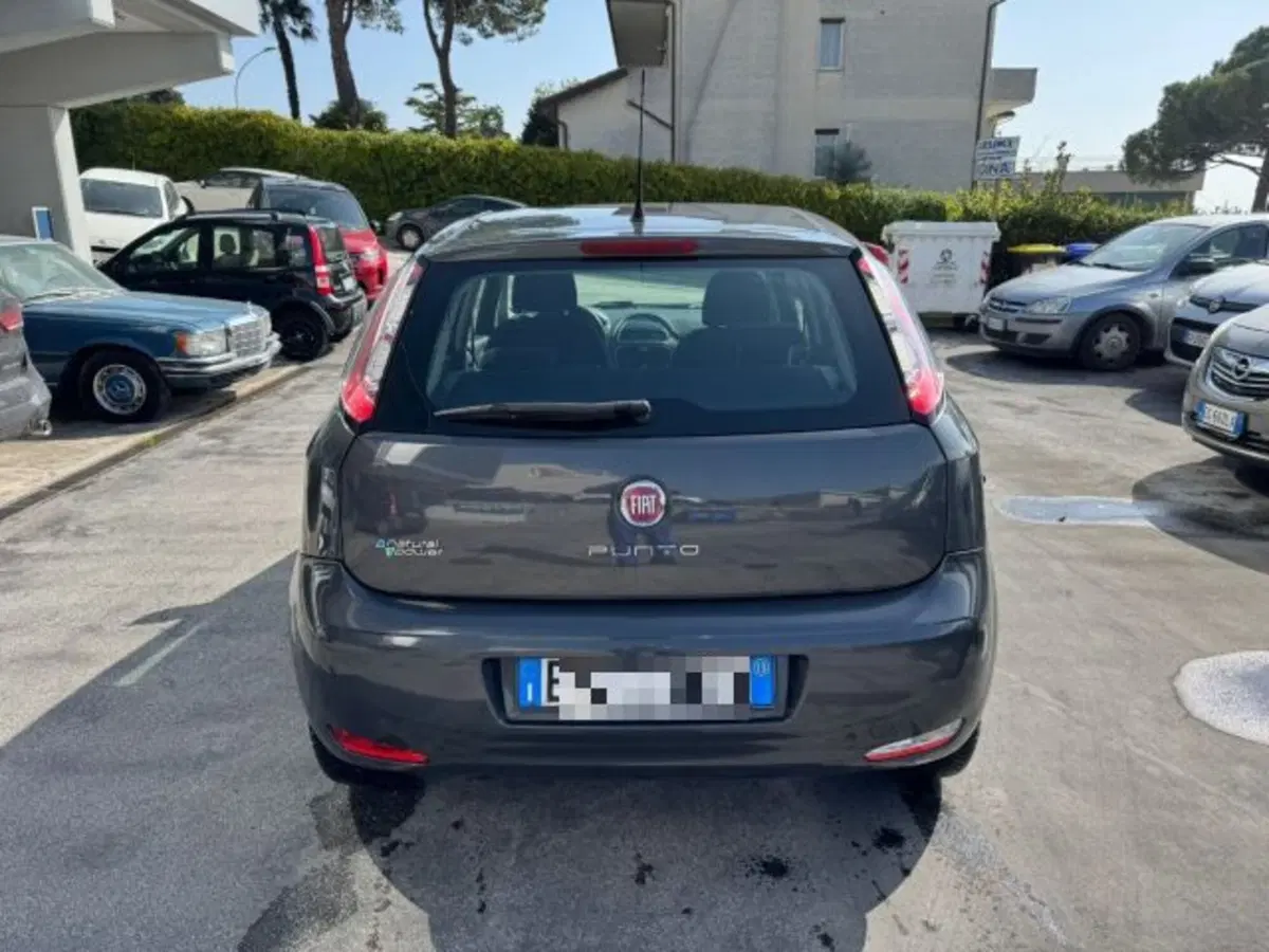 Fiat Punto usata a Macerata (5)