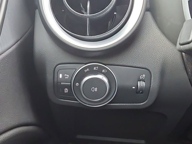 Alfa Romeo Stelvio nuova a Monza e Brianza (20)