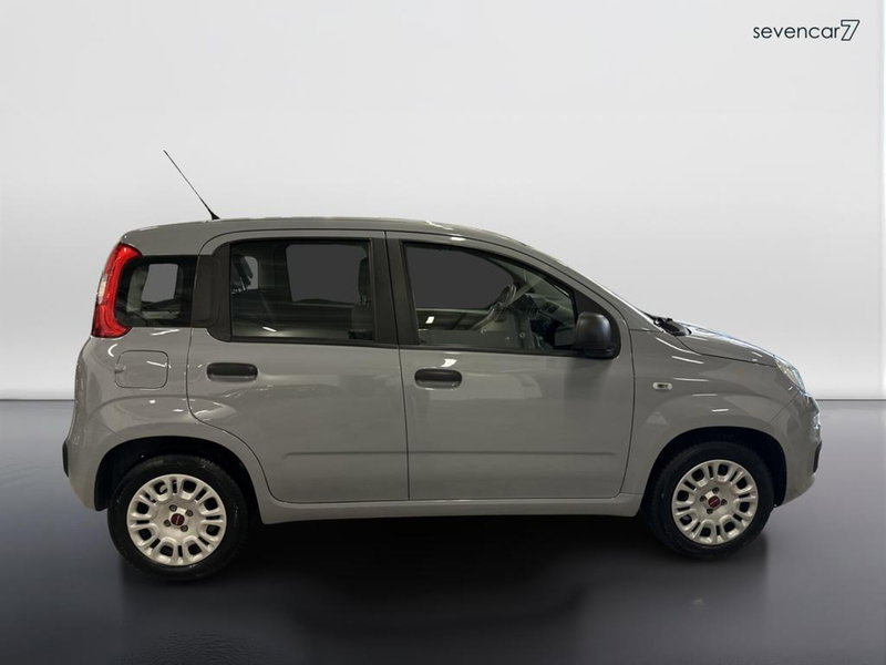 Fiat Panda usata a Verona (4)