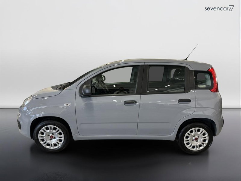 Fiat Panda usata a Verona (8)