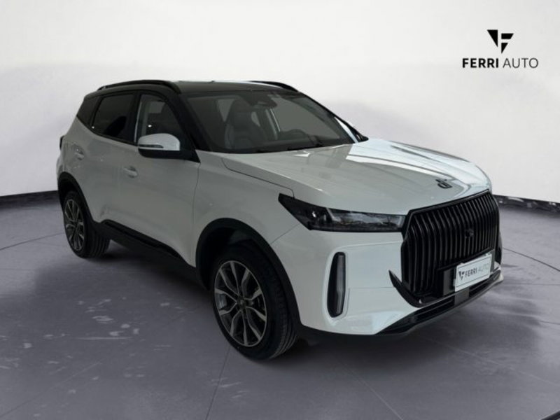 Dr dr5 nuova a Treviso (3)