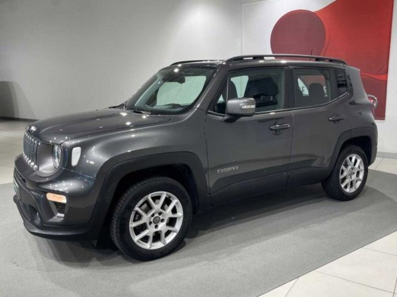 Jeep Renegade usata a Sondrio (2)