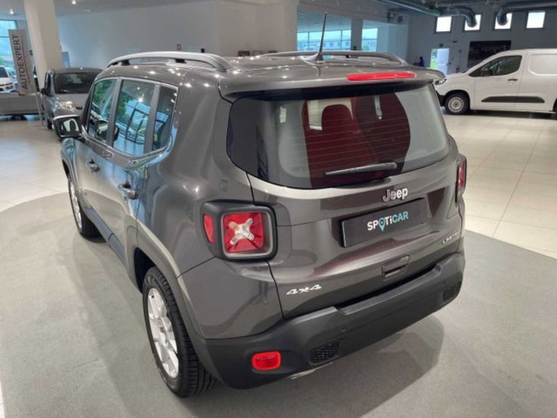Jeep Renegade usata a Sondrio (3)