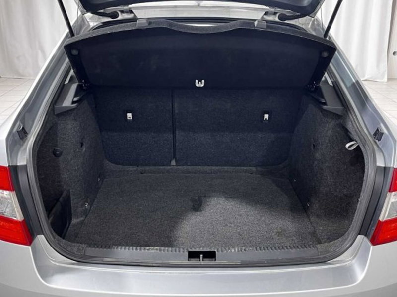 Skoda Octavia usata a Sondrio (15)