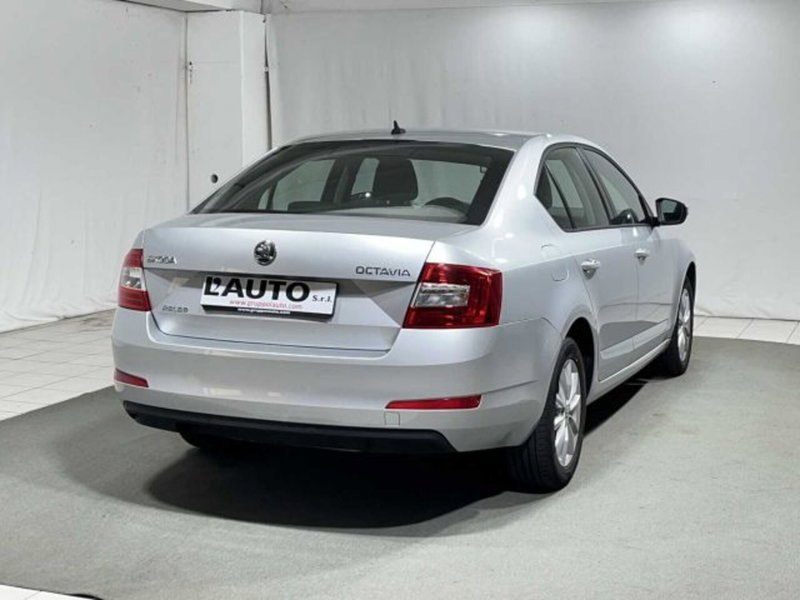 Skoda Octavia usata a Sondrio (5)