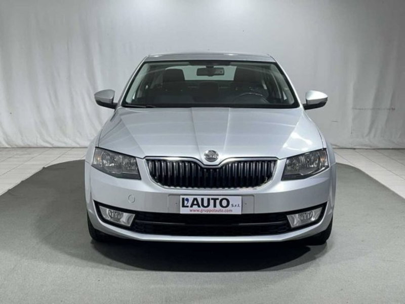 Skoda Octavia usata a Sondrio (8)