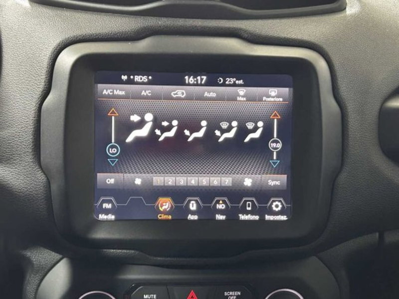 Jeep Renegade usata a Sondrio (18)