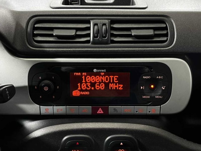 Fiat Panda Cross usata a Sondrio (17)