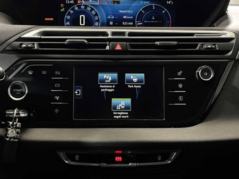 Citroen C4 Picasso usata a Sondrio (19)