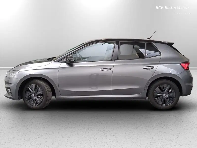 Skoda Fabia usata a Padova (2)