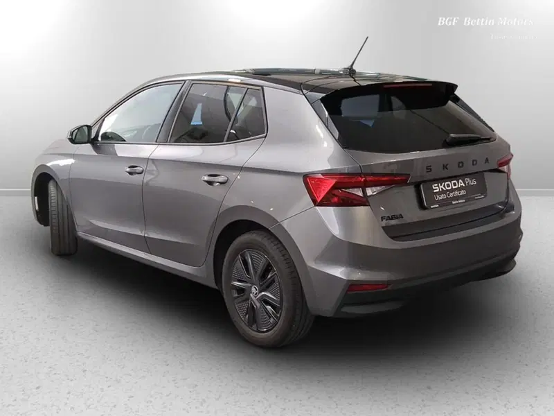 Skoda Fabia usata a Padova (3)