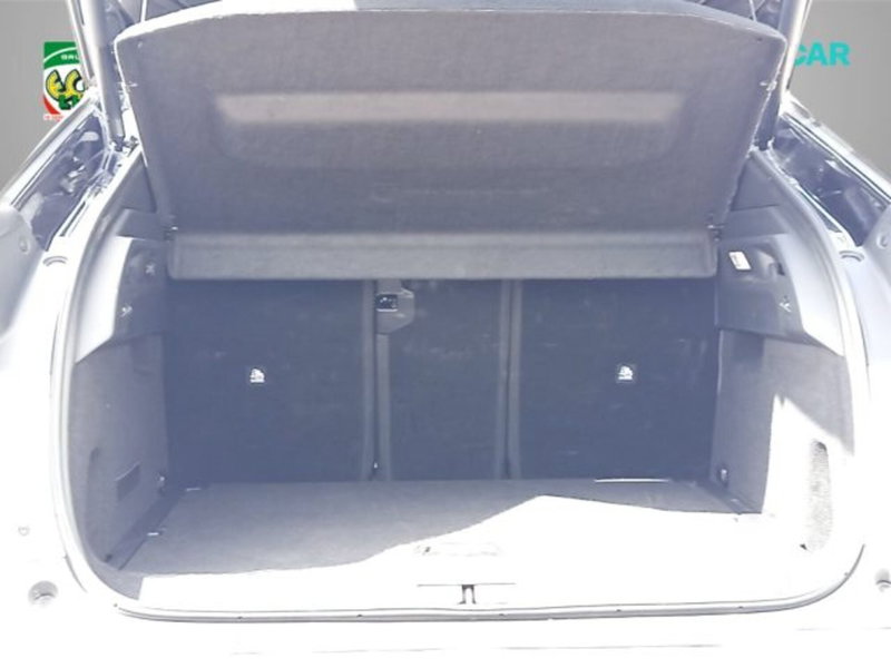 Peugeot 3008 usata a Frosinone (6)