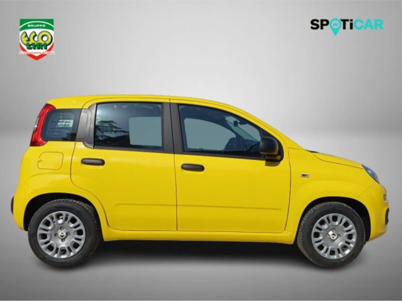 Fiat Panda nuova a Frosinone (4)