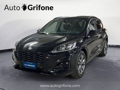Ford Kuga 1.5 EcoBlue 120 CV 2WD ST-Line del 2020 usata a Modena