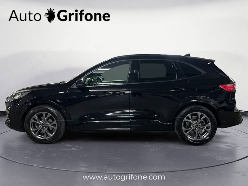 Ford Kuga usata a Modena (2)