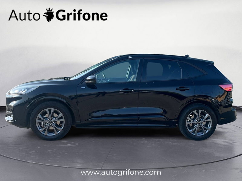 Ford Kuga usata a Modena (2)