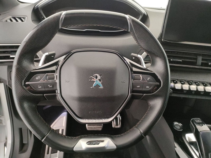 Peugeot 3008 usata a Caserta (20)