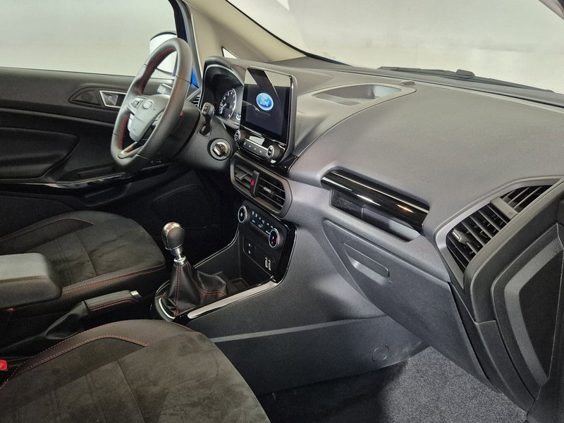 Ford EcoSport usata a Torino (10)