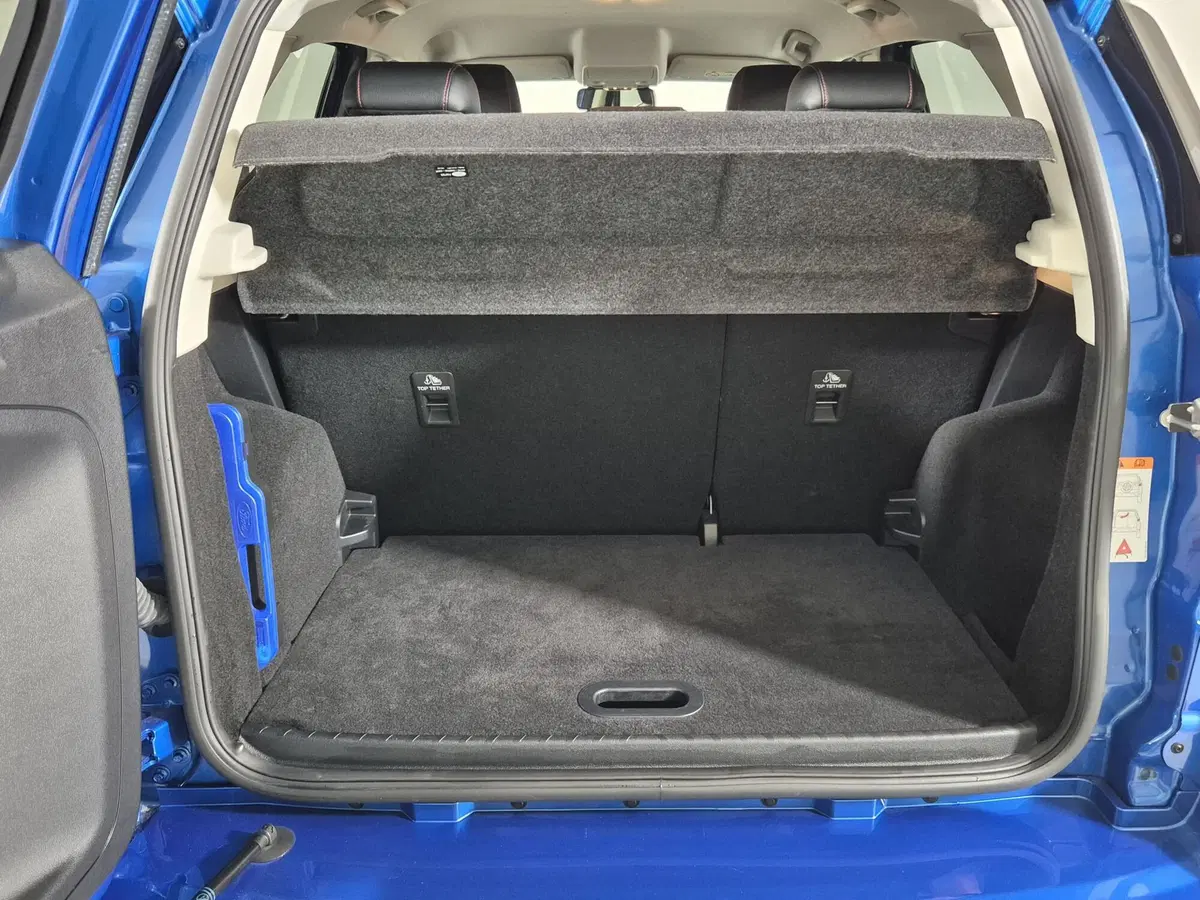 Ford EcoSport usata a Torino (12)