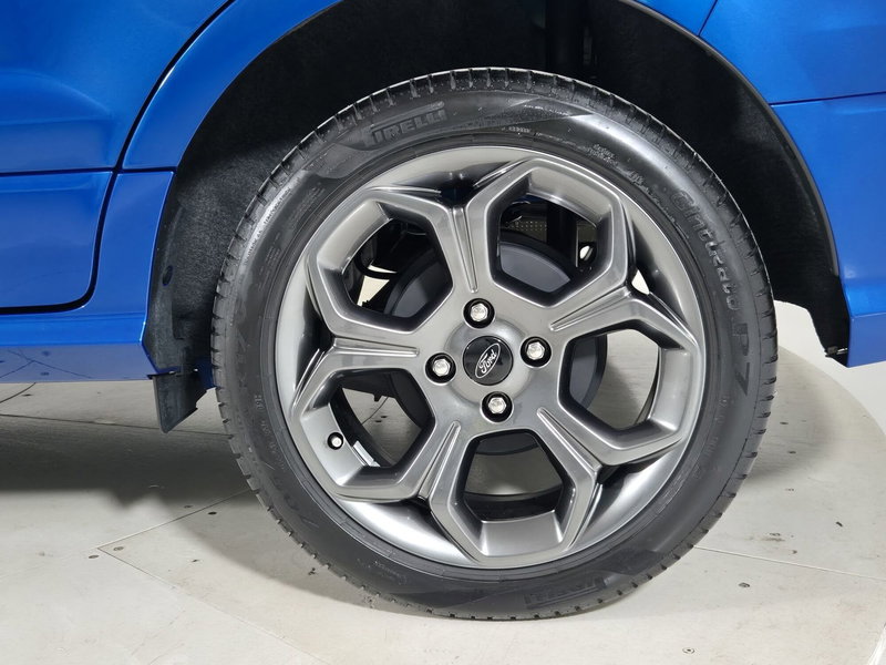 Ford EcoSport usata a Torino (13)