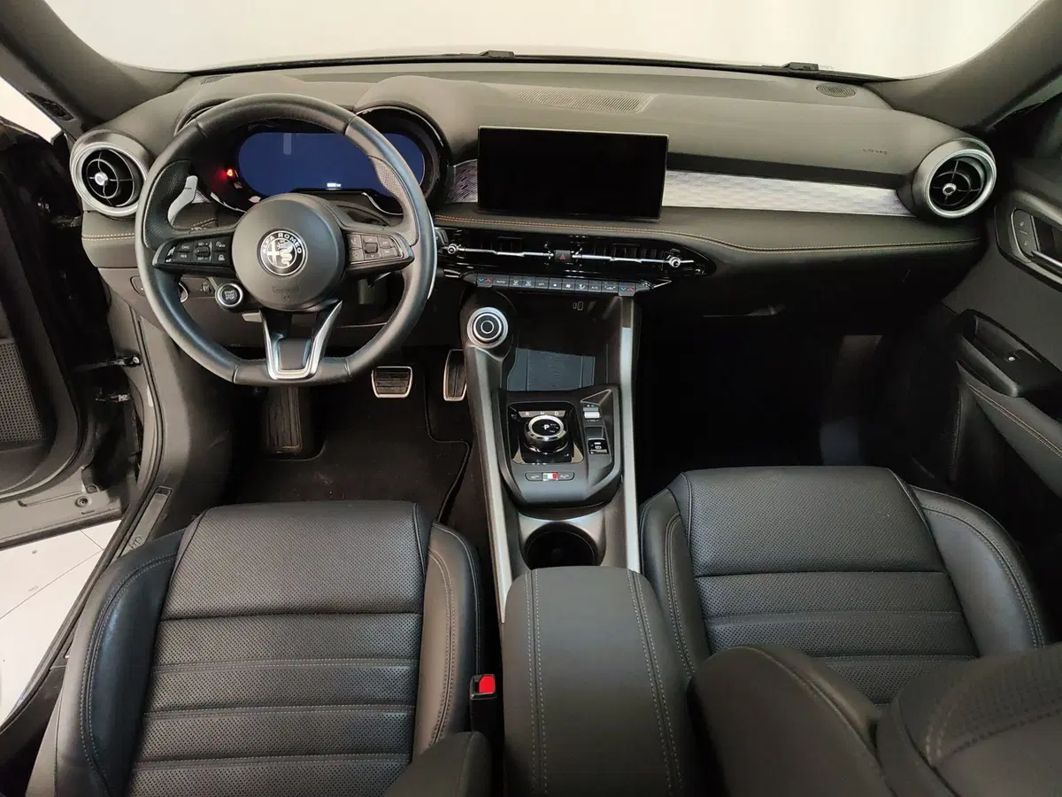 Alfa Romeo Tonale usata a Caserta (16)