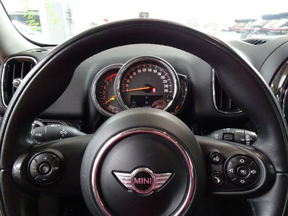 MINI Mini Countryman usata a Treviso (13)