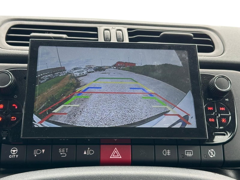 Fiat Panda Cross usata a Pistoia (10)