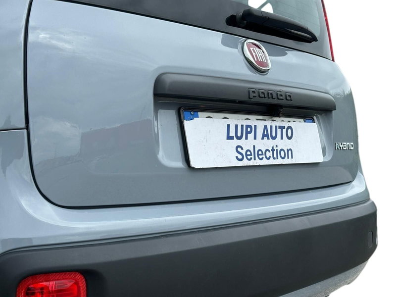 Fiat Panda Cross usata a Pistoia (13)