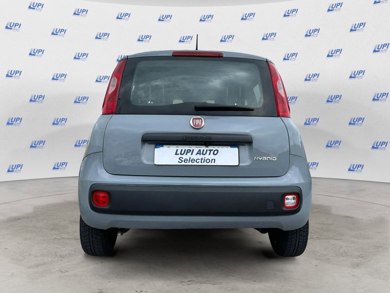 Fiat Panda Cross usata a Pistoia (2)