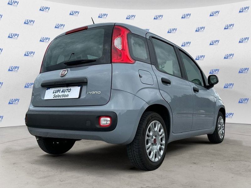 Fiat Panda Cross usata a Pistoia (4)