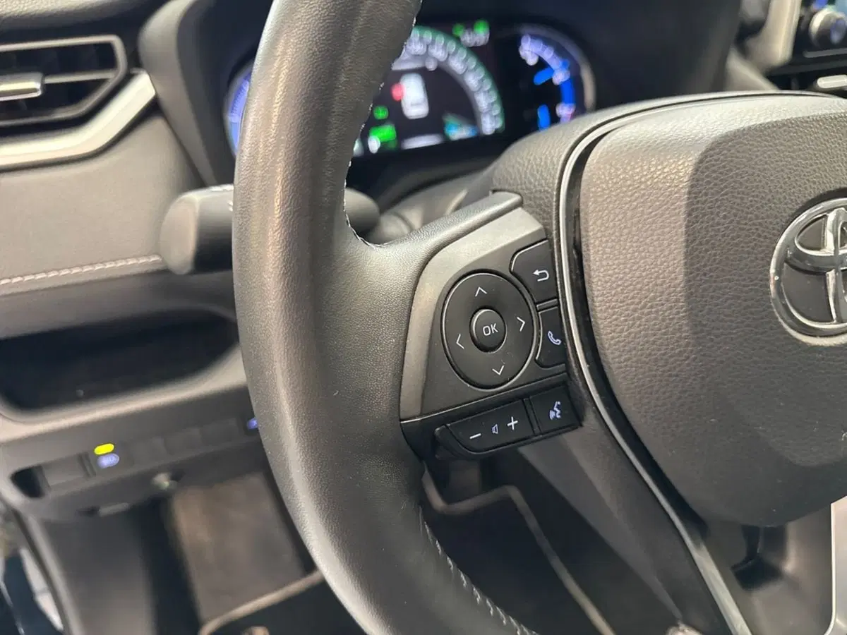 Toyota Rav4 usata a Prato (13)