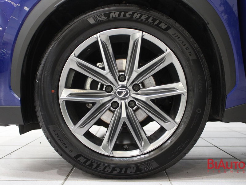 Lexus LBX usata a Firenze (19)