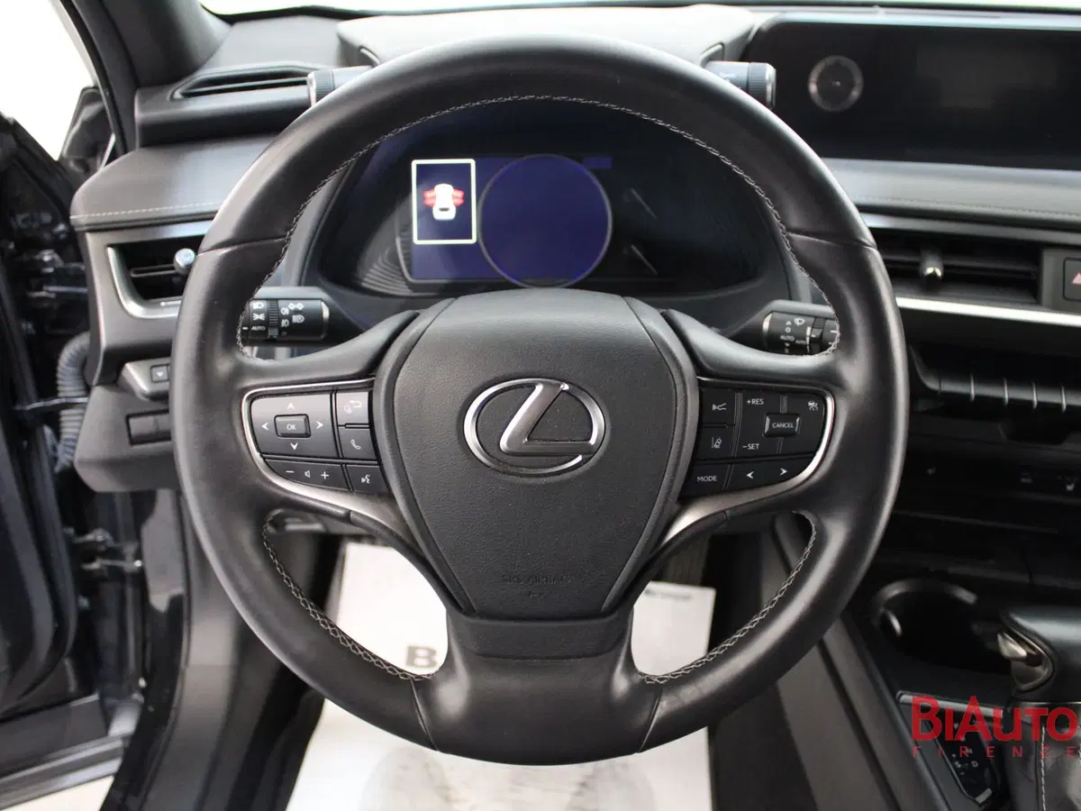 Lexus UX usata a Firenze (11)