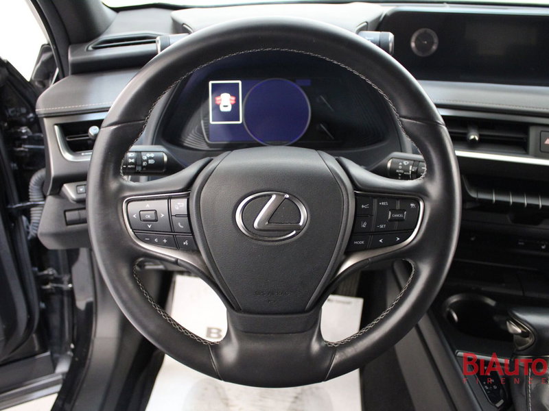 Lexus UX usata a Firenze (11)